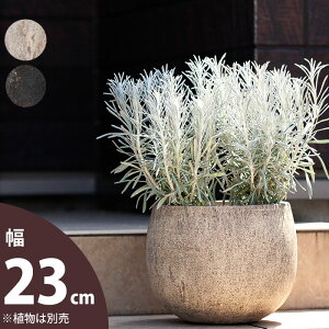 yȐAؔz΂̂悤ȎBAEghAyCgeRb^iہji23cmj