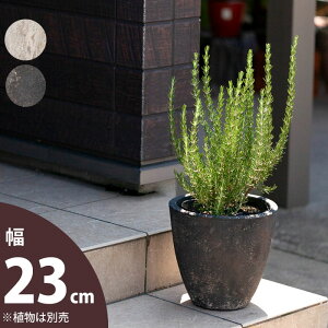 yȐAؔz΂̂悤ȎBAEghAyCgeRb^i23cmj