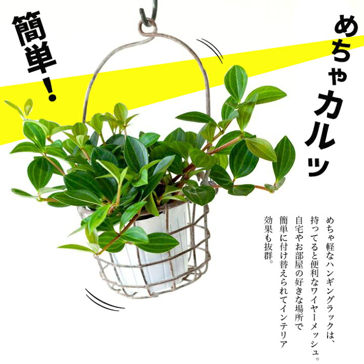 楽天市場 ハンギングpotカバー小 14ｃｍ ｅ 花屋さん