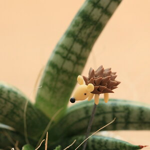 nlY~Nli͒邯ǁABK[fjO t[sbNK[fsbN ͂˂   PICK K[fjOG K[fG K[fjOsbN  