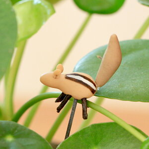 X񂨒li͒邯ǁABK[fjO t[sbNK[fsbN 肷    PICK K[fjOG K[fG K[fjOsbN  ϗt A