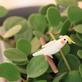 オカメインコちゃん♪お値段は張るけど、可愛い。手作りフラワーピックガーデンピック おかめ いんこ とり 可愛い おしゃれ PICK ガーデニング雑貨 ガーデン雑貨 ガーデニングピック 室内 観葉 植物 多肉 鉢植え 樹脂粘土