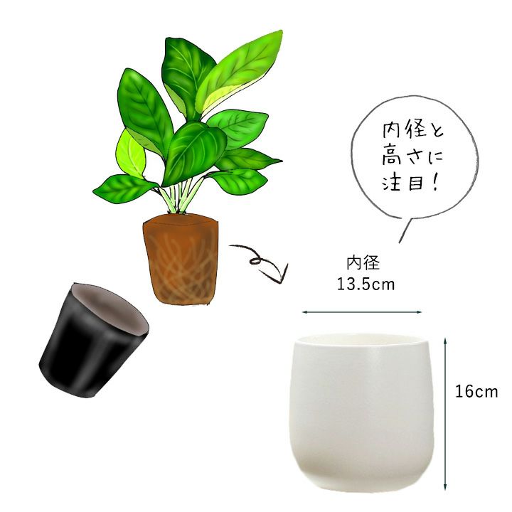【おしゃれな植木鉢】人気の白マット！陶器鉢（17cm） | ｅ-花屋さん