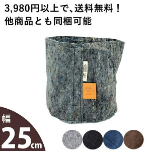 [c|[`MTCYya25cm 3zsDz  z Root Pouch Aؔ  J[ y 3K Jo[ lCr[ ubN uE O[    DF v^[ ƒ؉ ϗtA 