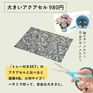 ANAZi肪yɂȂ֗jANAZL[u500ml R S nNT p g[ ϗtA ԕc Ԕ K[fjO  s s E^ X|W  gC ԑ u