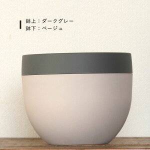 Aؔ Jo[ 2wayukvϗtA   3 4 5 6 y  vX`bN c[g ۂ 󂯎Mt {[^  x[W O[ F nMO M sv