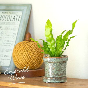 TCYŉ炵IGhEF[uAXvjE ^j^ϗtA  ~jϗt A A CeA   rO _CjO Lb` ItBX e[u