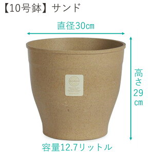 ǂFł Aؔ  񂾐F F y GRf ݊k GRtH[Y 5 6 7 8 10 ϗtA   F  A{Kh Th x[W u[ F ^[RCY 