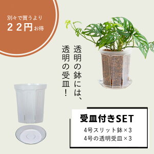 Xbg[4TCY×3SET]Xbg lK~G 󉪉| Xbg  ϗtA̐Aւ 锫 NA  ϗtA̔ Aؔ vX`bN |gXv`l 