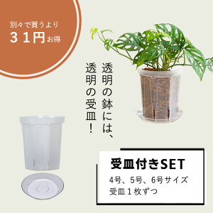 Xbg4E5E6SET [4A5A6×e1]Xbg lK~G 󉪉| Xbg  ϗtA̐Aւ 锫 NA  ϗtA̔ Aؔ vX`bN |gXv