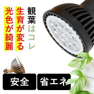 植物育成ライト 観葉植物 多肉向け 植物ライトledプランツネクスライト スタンド 植物 育成 ライト おし…