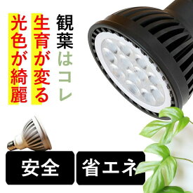 植物育成ライト 観葉植物 多肉向け 植物ライトledプランツネクスライト スタンド 植物 育成 ライト おしゃれ おすすめ 光合成 高島屋 豊川温室 100W E26 安全 PSD 省エネ 1年保証 昼白色 白色光