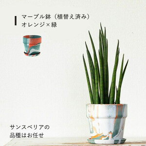 TXxA ~Jh yϗtA z 2̔Iׂ ~j  c tׂ i SҌ A  v ĕt e[u av[g ȒP lC T