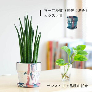 TXxA ~Jh yϗtA z 2̔Iׂ ~j  c tׂ i SҌ A  v ĕt e[u av[g ȒP lC T