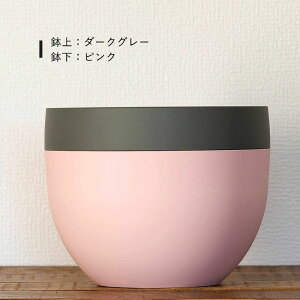 �A�ؔ� ���J�o�[ 2way�u�k�����v�ϗt�A�� �� ������� 3�� 4�� 5�� 6������ �y�� ���� �v���X�`�b�N �c�[�g�� �ۂ��� �󂯎M�t�� �{�[���^ �� �x�[�W�� �O���[ ���F �n���M���O ��M �s�v