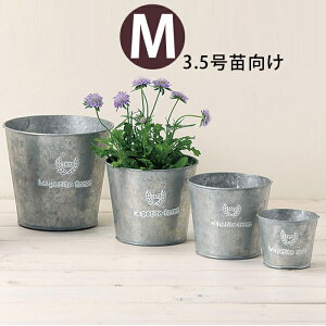 yȐAؔzuLi3.5cpj3389c