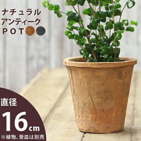 モスポット直径16cm/高さ14.5cm【おしゃれな植木鉢】