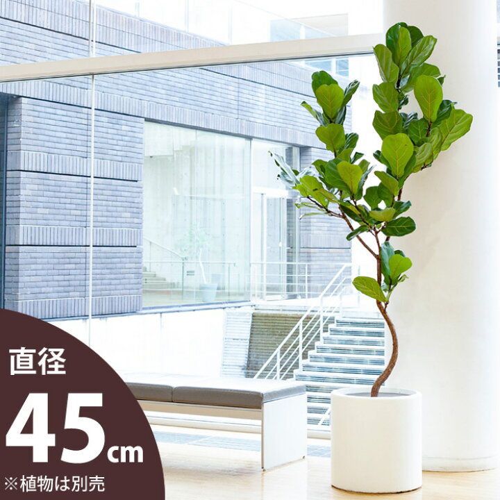 楽天市場 大型シリンダー植木鉢 10号サイズの植物向け鉢カバー Oc45 植木鉢 大型 室内 おしゃれ 同梱不可 ｅ 花屋さん