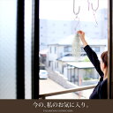 大好き!銀葉が美しい〜、ウスネオイデス(スパニッシュモス)実は「飾る」より、「育てる」方が楽しい植物なんですよ!【観葉植物 吊り下げ エアープランツ】