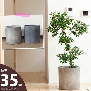 植木鉢 室内 おしゃれの人気商品 通販 価格比較 価格 Com