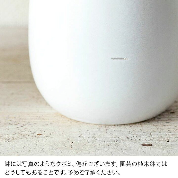 楽天市場】【おしゃれな植木鉢】人気の白マット！陶器鉢（20.5cm） : ｅ-花屋さん