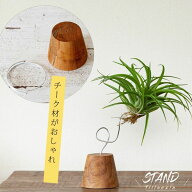 大人のインテリア。チーク材のエアープランツスタンド。※植物は別売りエアプランツ 飾り方 ディスプレイ…