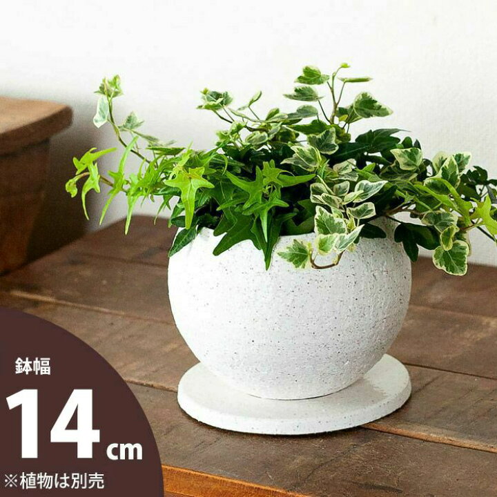 楽天市場 おしゃれな植木鉢 人気のボール鉢 他より風合い良いです 14ｃｍ ｅ 花屋さん