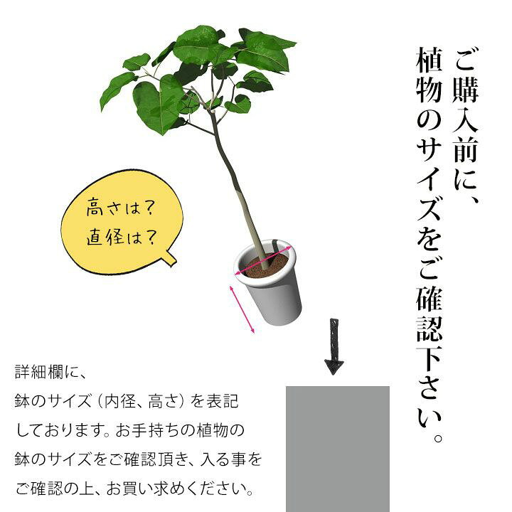 楽天市場 大型スクエア植木鉢 10号 12号サイズの植物向け Os45 植木鉢 大型 屋外 おしゃれ 鉢カバー 同梱不可商品です ｅ 花屋さん