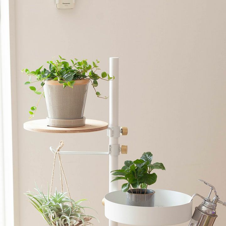 【おしゃれな植木鉢】4色から選べる、植物に合せやすい植木鉢S（13ｃｍ） | ｅ-花屋さん