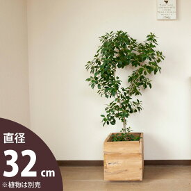 7〜8号サイズの植物向け。おしゃれな木製鉢カバー（32cm）【送料無料・同梱不可】
