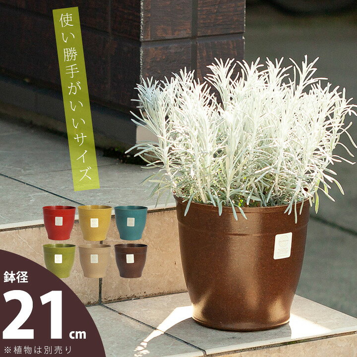 楽天市場 おしゃれな植木鉢 アメリカ生まれの植木鉢 エコフォームズ 21cm ｅ 花屋さん