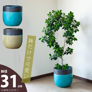 植木鉢 大型 室内の通販 価格比較 価格 Com