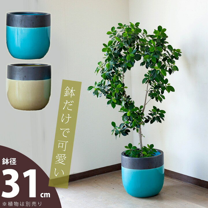 楽天市場 ツートン模様 可愛らしい陶器鉢 7 8号の植物向け Tm31 植木鉢 大型 室内 おしゃれ 陶器 同梱不可商品です ｅ 花屋さん