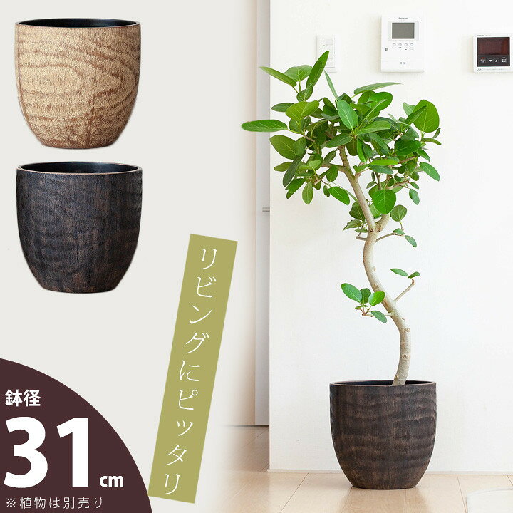 楽天市場 コンパクトで いい感じの木目鉢 7号 8号の植物向け Ki31 植木鉢 大型 室内 おしゃれ 同梱不可商品です ｅ 花屋さん