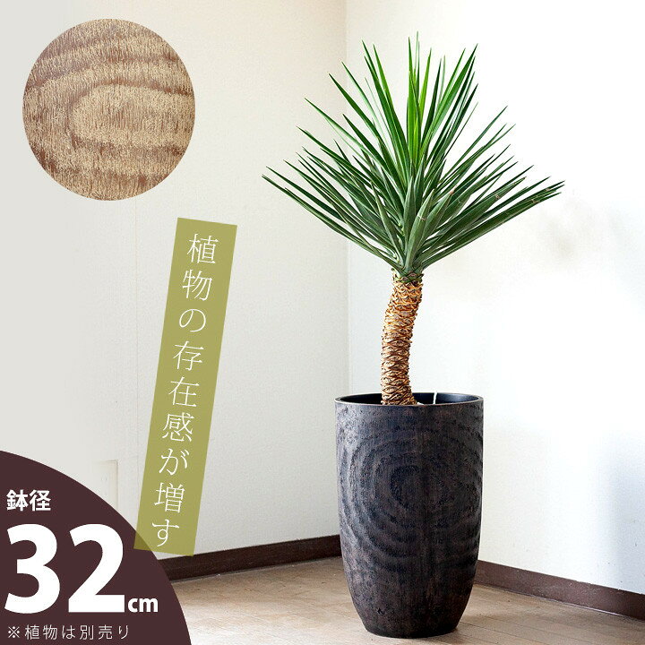 楽天市場】木目調の鉢カバー「トール」（7〜8号の植物向け）MO32 