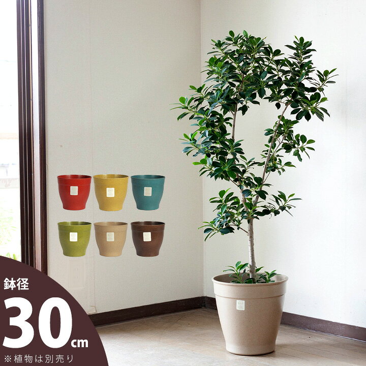 楽天市場 おしゃれな植木鉢 アメリカ生まれの植木鉢 エコフォームズ 30cm 植木鉢 大型 室内 おしゃれ ｅ 花屋さん