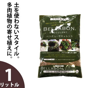 小さな多肉植物のアレンジに。「土を使わないスタイル」ベラボン・サキュレント1リットル