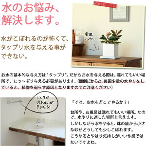 楽天市場 実はこれ あると非常に便利です 道具が揃うと 植物も長持ちです お水の時や 植物 を移動する際 あると何かと便利 撥水性がよい 受け皿2枚セット ｅ 花屋さん