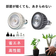 「植物との暮らし」総合力No.1は、この植物ライト！エバーサン 観葉植物 多肉向け 植物ライトled スタン…