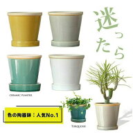 4色選べる 植木鉢 おしゃれ 観葉植物 鉢 陶器 陶器鉢 植え替え 小さめ ターコイズ グレー 白 青 黄色 灰…
