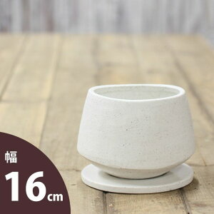 yȐAؔz}bgE΂̎Bȉ~`̐AؔLTCY