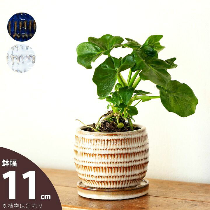 楽天市場 丸っこい 異国風の植木鉢 11ｃｍ ｅ 花屋さん
