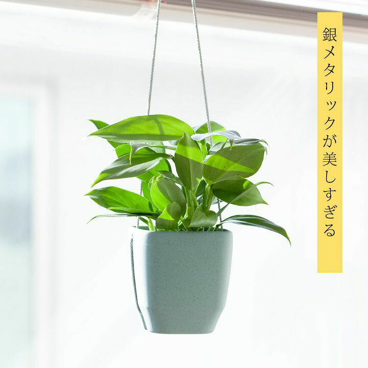楽天市場 ヒョイっと気軽に吊るす シルバーメタル ｅ 花屋さん