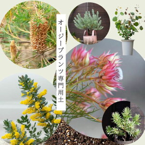 I[W[vc̔|{yI[W[vc y I[W[vc̓y py Aւ ppy 16L A nA y roNVA veA [Jfh [J AJ