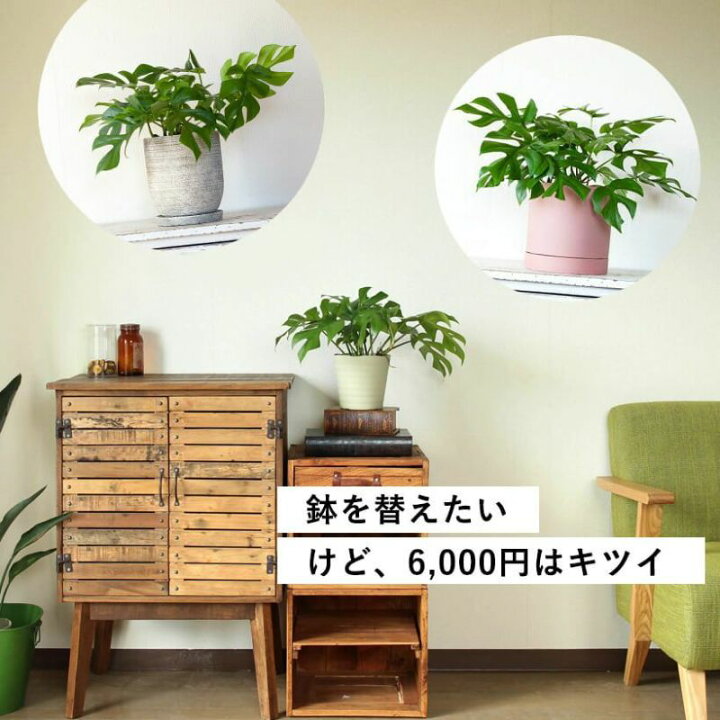アウス 親子共栓 ゴム詰 VU兼用 D-9VRW-PU 100 VP