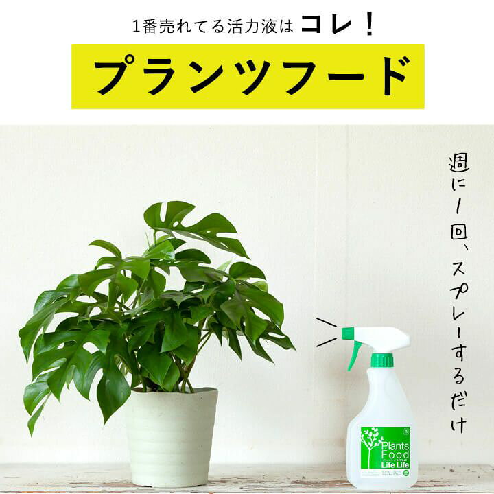 楽天市場 植物が求める栄養バランスを実現したプランツフード500ml 活力液 ｅ 花屋さん