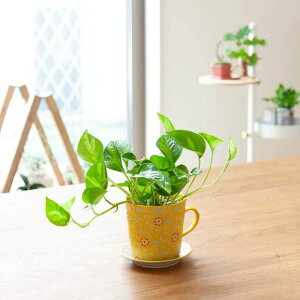 k̃}OJbvɁA|gXO[oO[AāB󉪉| |gX  Aւ ϗtA   A CeA rO _CjO Lb` JE^[ e[