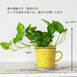 k̃}OJbvɁA|gXO[oO[AāB󉪉| |gX  Aւ ϗtA   A CeA rO _CjO Lb` JE^[ e[