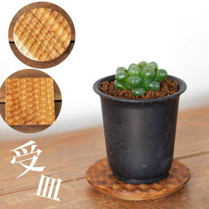 󂯎MɂȖؐR[X^[ 󂯎M lp  M a8.5cm i` Aؔ