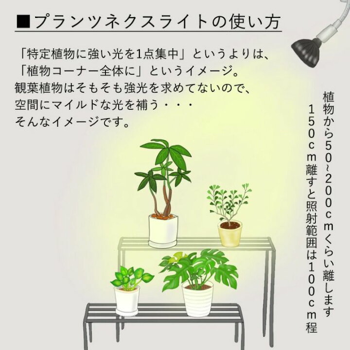 楽天市場】植物育成ライト 観葉植物 多肉向け 植物ライトledプランツ 